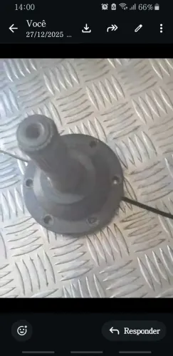 Par de tulipas da marea turbo