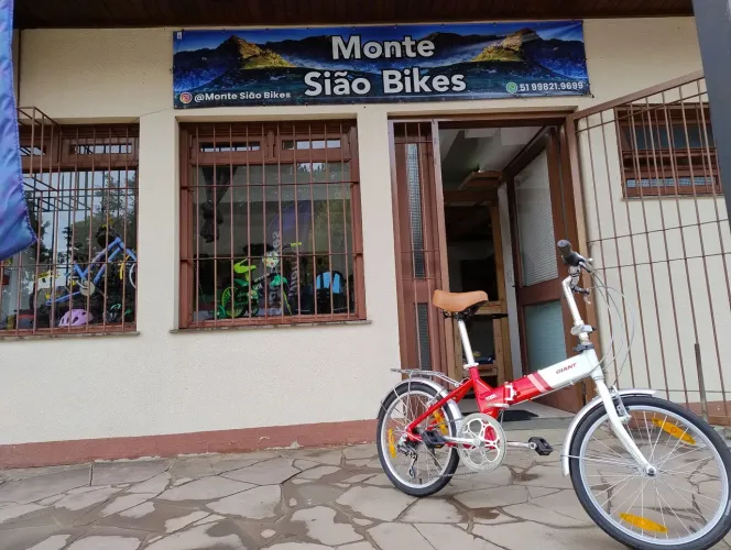 Bicicleta Gigant FD806 aro 20