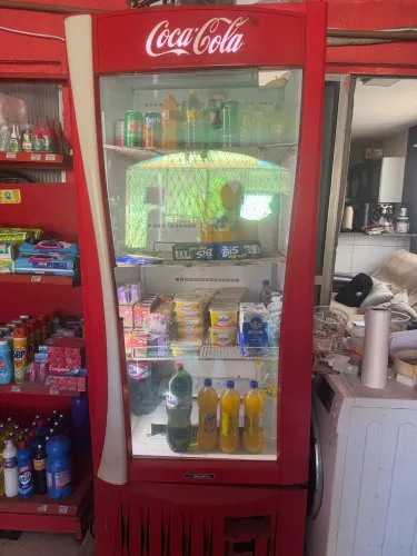 Freezer vertical