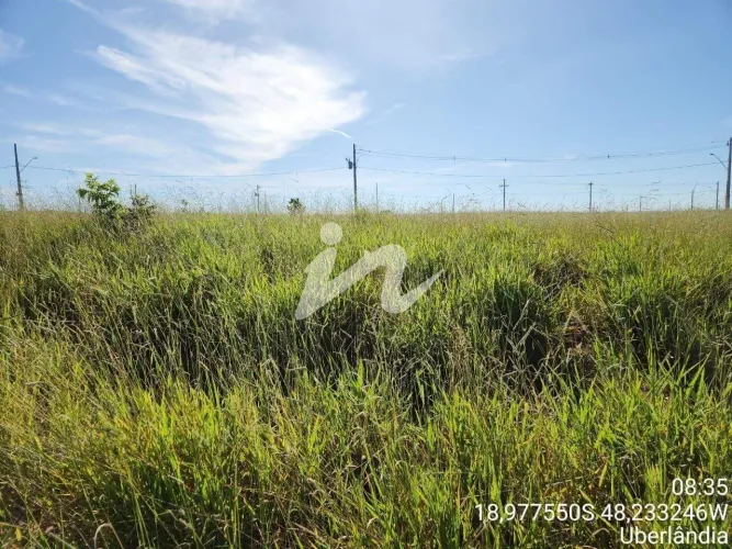 Terreno residencial à venda em Uberlândia (Bairro Laranjeiras) | 266 m²
