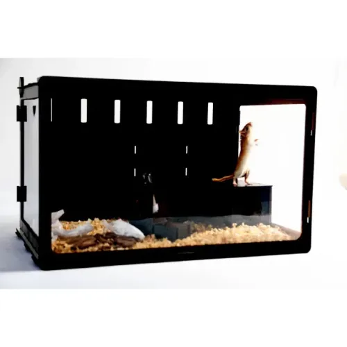 Terrário para Hamster + Acessórios