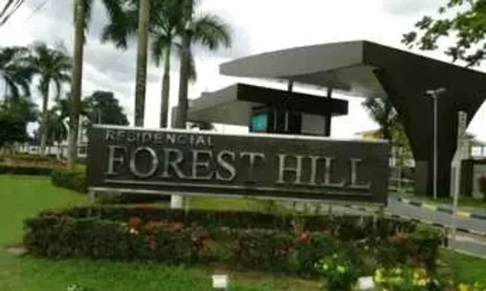 LOTE FORREST HILL COM 290 M2 ,10X 29 TODO PLANO PRONTO PRA CONSTRUIR