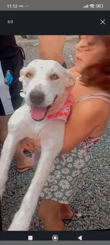 Doação fêmea