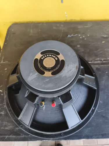 Auto falante 18' polegadas marca Selenium Mod. Wpu 1805 no estado que se encontra.