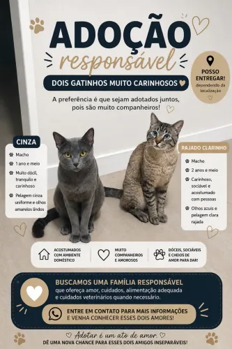 Gatinhos Adoção 