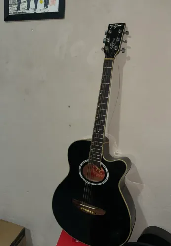 Violão Tagima Dallas aço