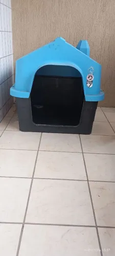 CASA PARA CÃES!