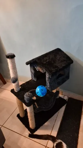 Arranhador para gato - casinha 