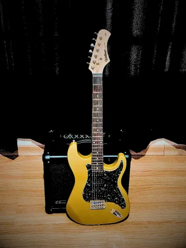 Guitarra Waldman ST111- NOVA