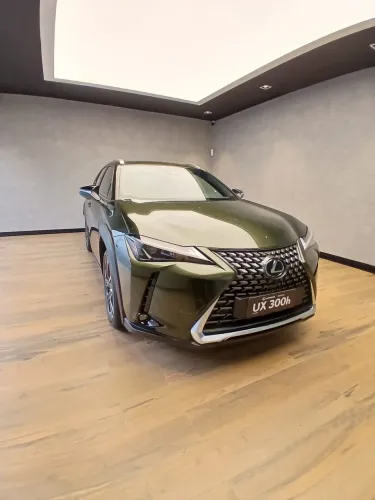 Lexus UX-300h 2.0 16V Aut. (híbrido) 2026