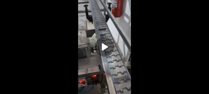 Esteira Linear Transportadora Automática
