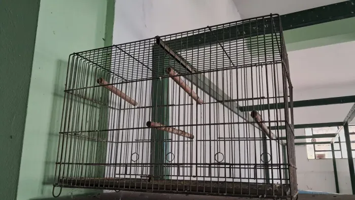 Gaiola para passarinho de metal