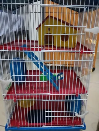 Casinha completa para hamster