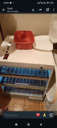 Chocadeira com capacidade 300 ovos