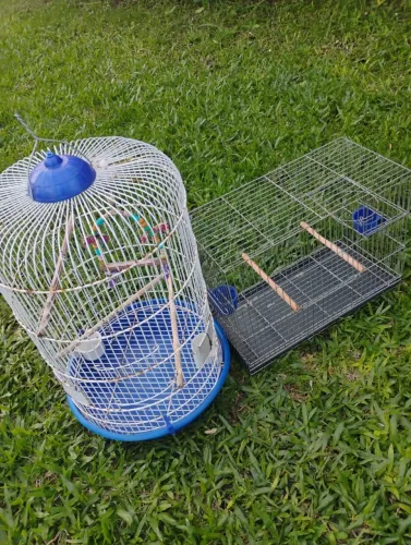 Gaiolas pássaros