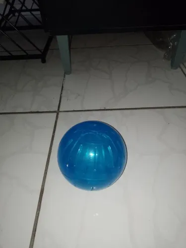 Gaiola Hamster e 1 bolinha para hamster 