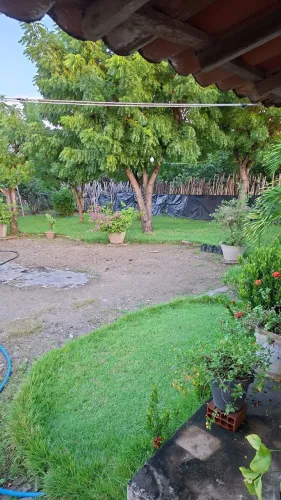 SÍTIO NA COMUNIDADE DE CARRAPATO 