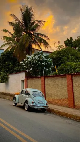 Volkswagen Fusca Fusca (gasolina) 1981