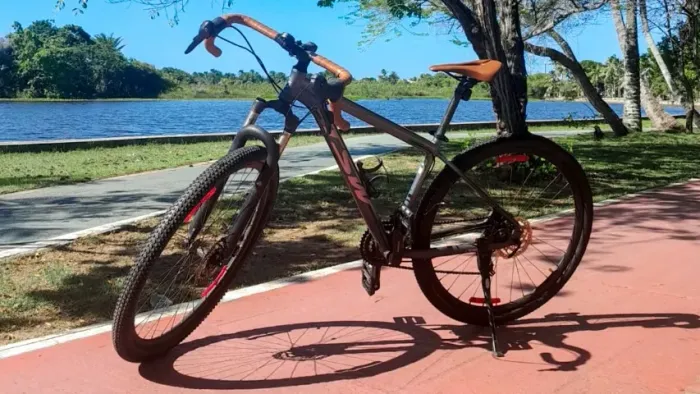 Bicicleta TSW Aro 29