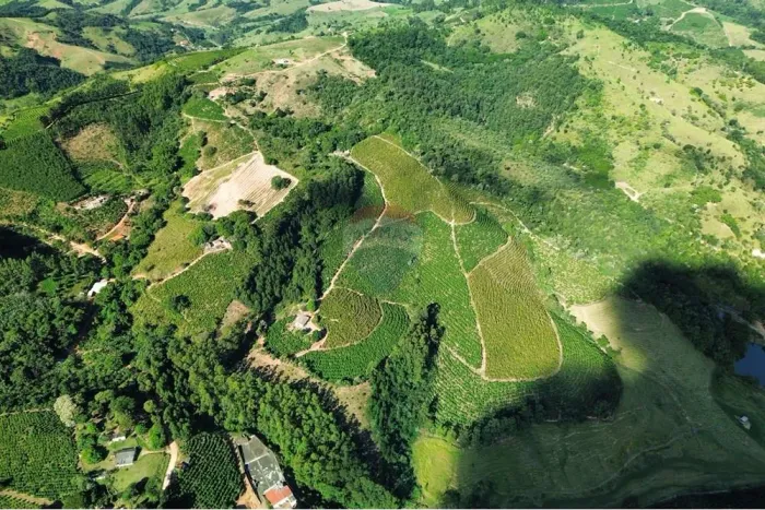 SÍTIO 87725 M2 , 01 CASA DE CASEIRO COM SALA, COZINHA, BANHEIRO E ÁREA COM FOGÃO A LENHA E