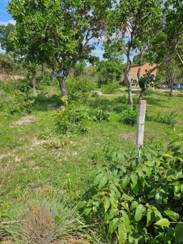 Vendo terreno bem grande e barato