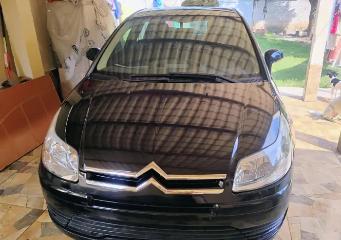 Citroen C4 GLX 1.6 Flex 16V 5P Mec. 2010