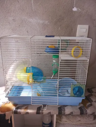 Vende-se gaiola pra hamster 