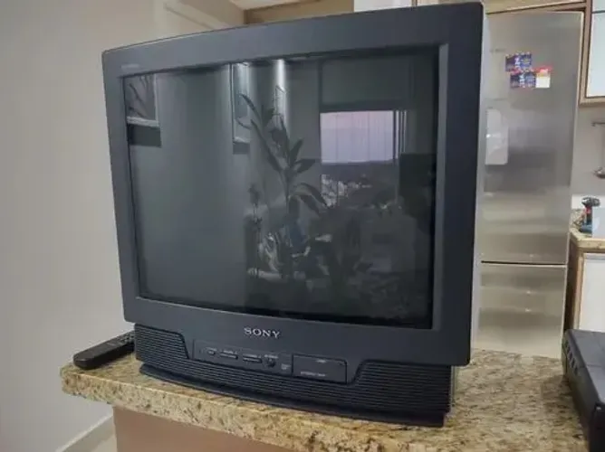 Televisão