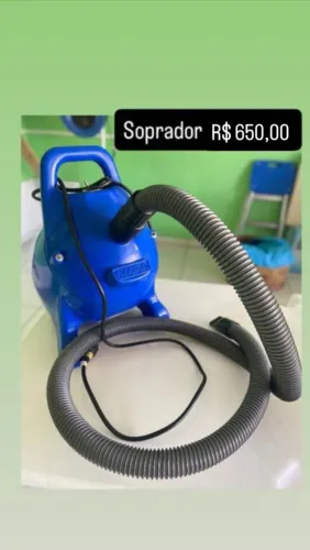 Soprador kyklon 220v para pet shop 