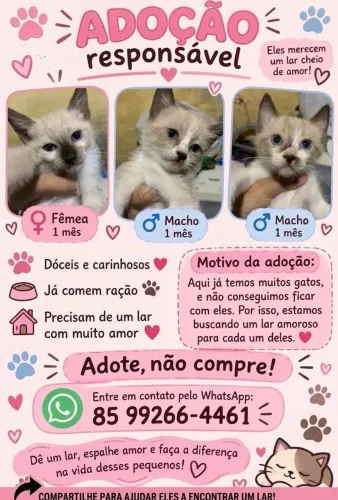 Doação responsável!!