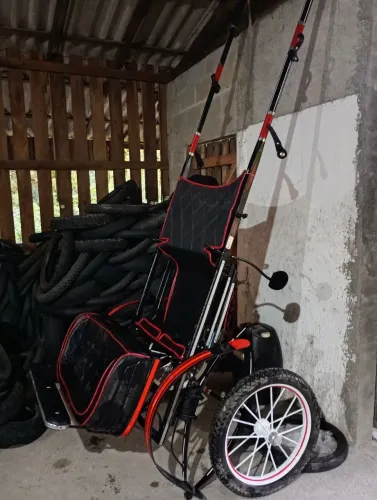 Charrete de cavalo