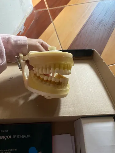 Manequim Periodontia- Seminovo 