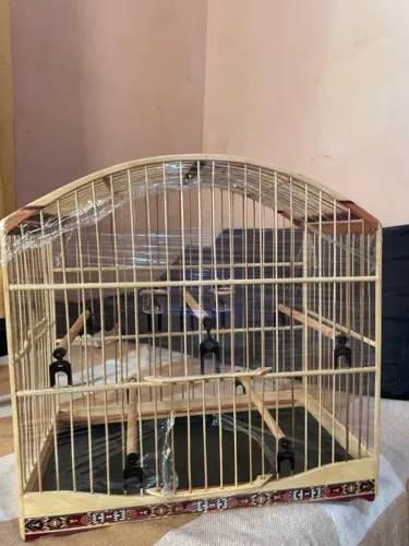 Gaiola de trinca ferro padrão torneio simples