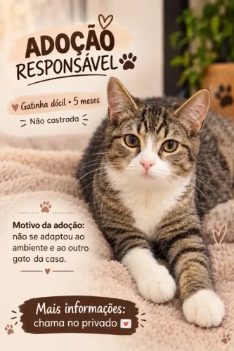Gata para doação 