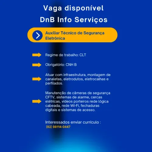 Auxiliar Técnico de Segurança Eletrônica Jr.
