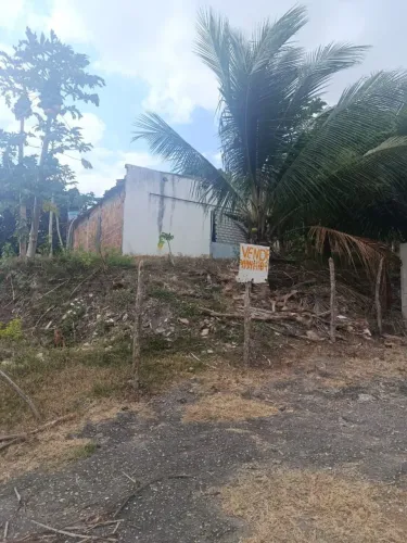 Terreno 