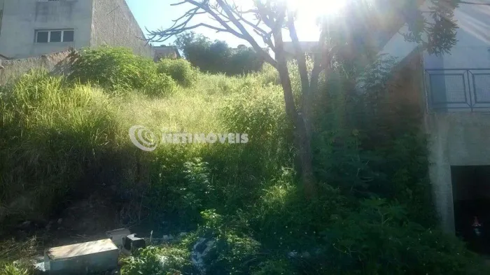Venda Lote-Área-Terreno Vera Cruz Belo Horizonte