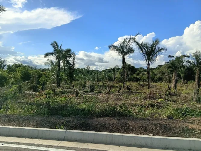 Venda 