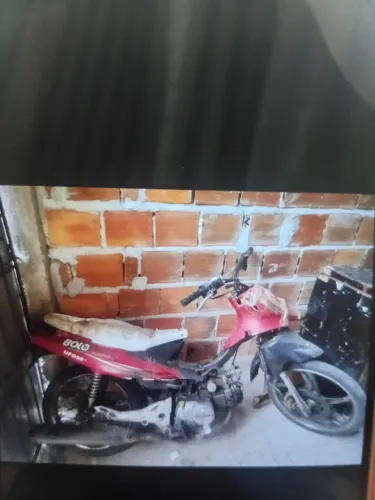 Motinha