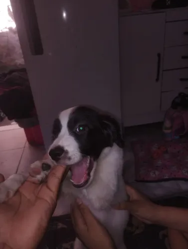Estou doando por que tive uma neném e não tenho como ficar