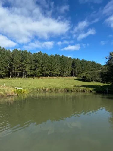 Sítio à Venda em Ponte Alta/SC - 10 Hectares com Galpão e Pasto, a 10 Minutos da Cidade!