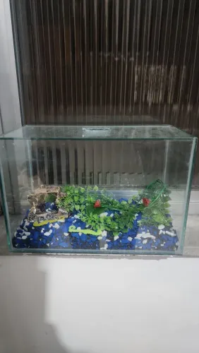Aquário