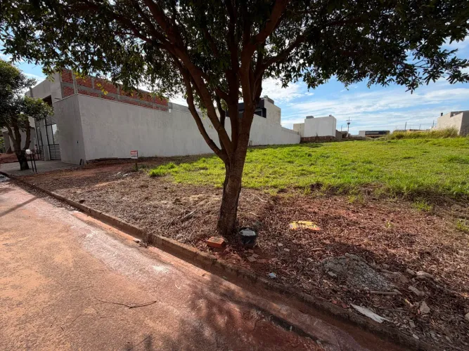 Terreno 500 m2 em Porto Rico, PR, excelente oportunidade