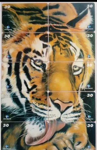 Cartão telefônico puzzle Tigre completa- 10 cartoes