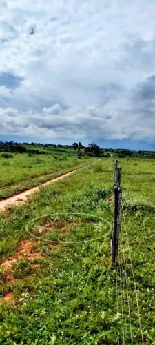 Fazenda de Oportunidade em Ivolândia - GO | 80 Alqueires - Dupla Aptidão