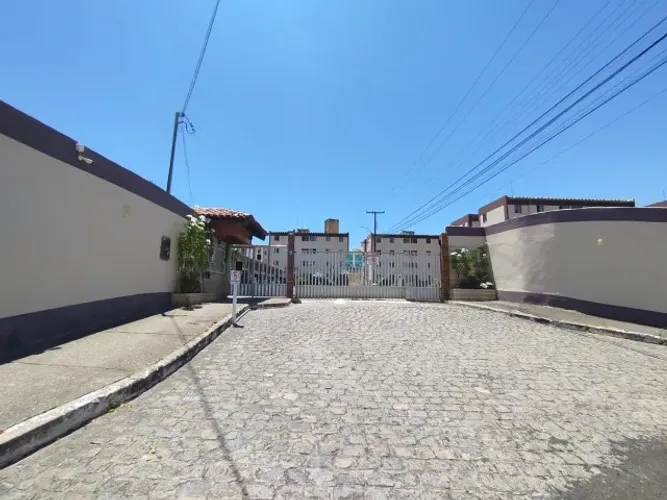 Venda solar dos manguezais
