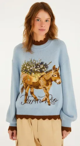 Casaco Tricot Farm - Burro que foge