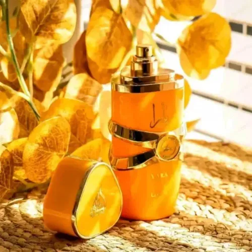 ? PERFUMES IMPORTADOS ORIGINAIS - PREÇO QUE CABE NO SEU BOLSO! ?