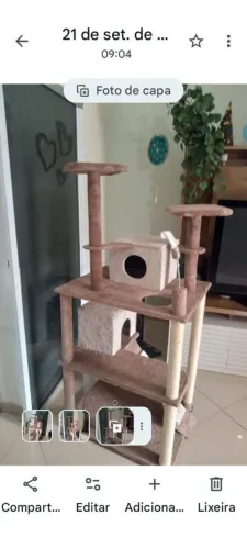 Casinhas para gatos