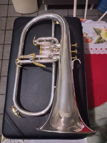 Flugelhorn Prateado Hoyden Bb